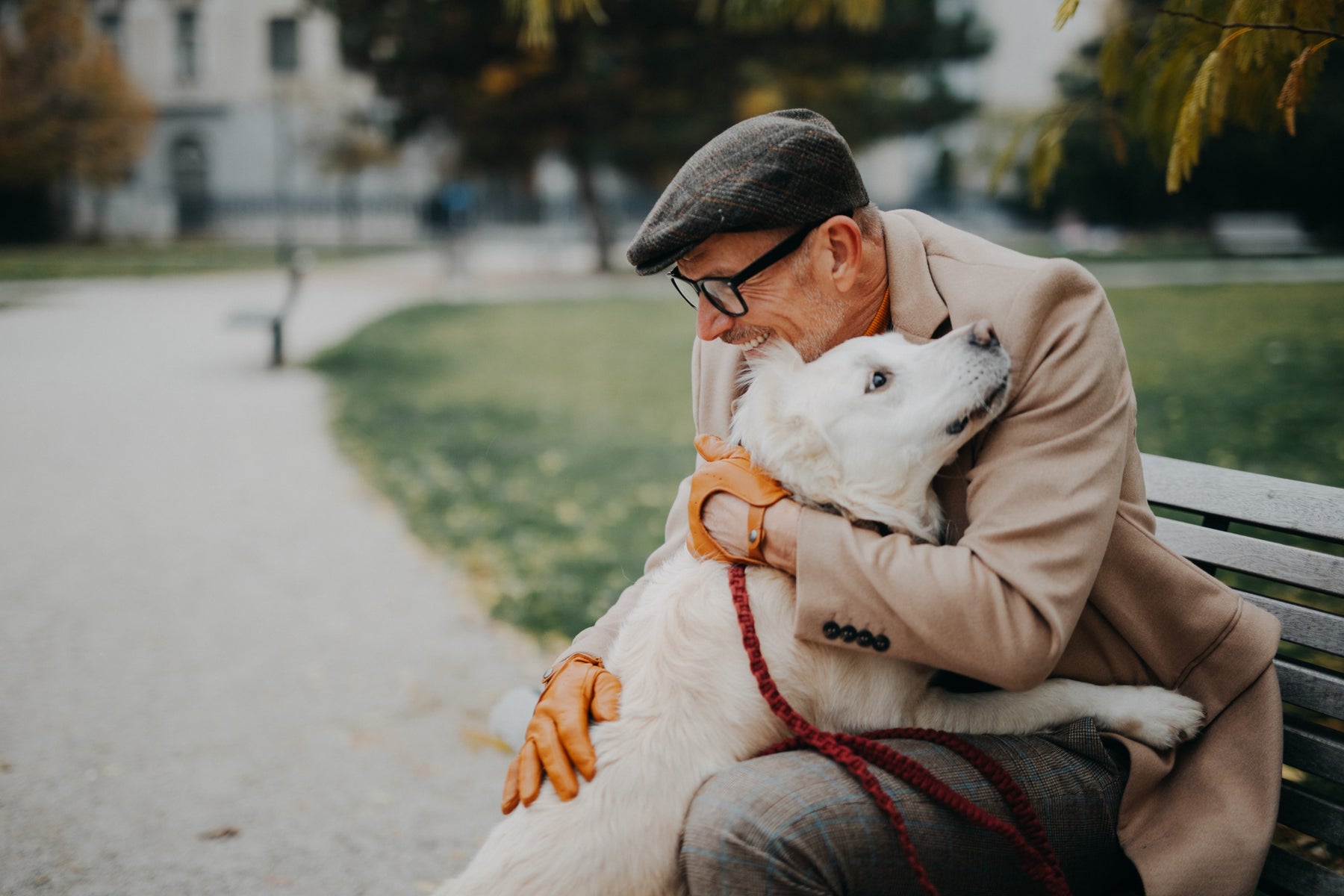 Avere un cane aiuta i nostri anziani