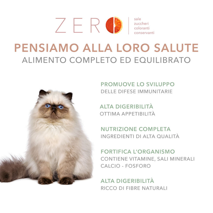 Tasty Pet Confezione di Alimento Completo Umido per Gatti - 5602 Polpette al sugo Pollo Ananas e Carota